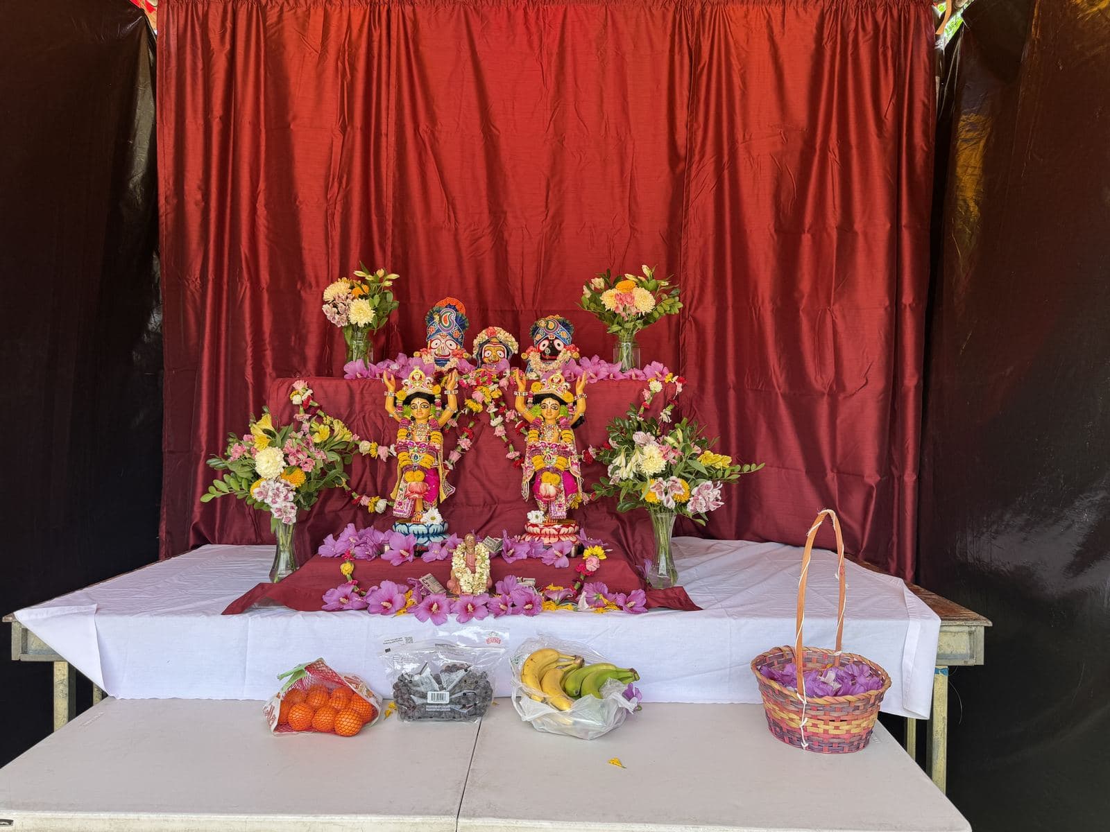 Ratha Yatra Festival — Photo 16